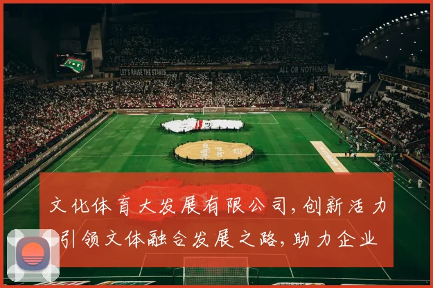 文化体育大发展有限公司,创新活力,引领文体融合发展之路,助力企业腾飞
