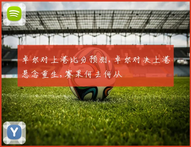 卓尔对上港比分预测,卓尔对决上港悬念重生,赛果何去何从